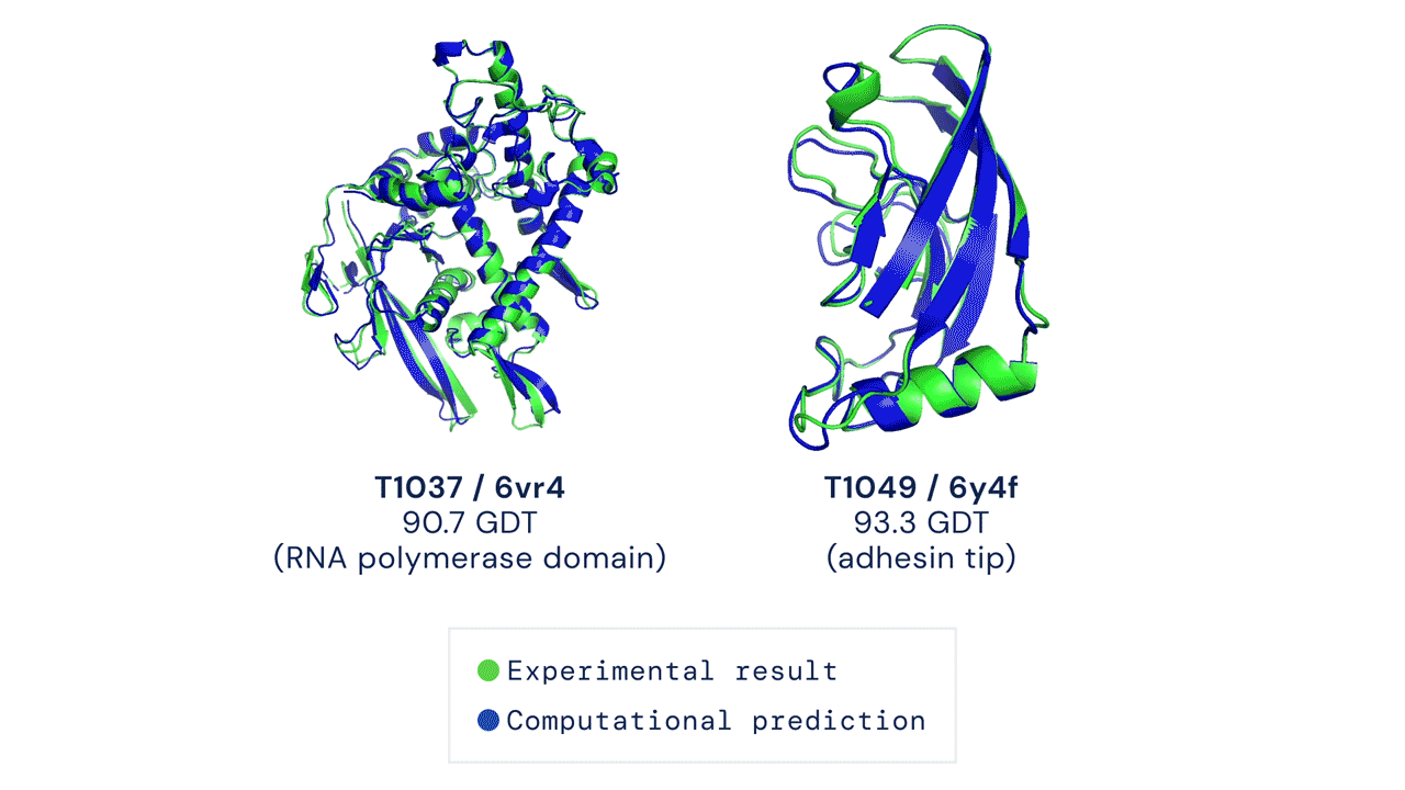 Gif of two rotating protein folding patterns consisting of curls and swirling lines.  AlphaFold predictions overlap in the models: 90.7 GDT on the left and 93.3 GDT on the right.