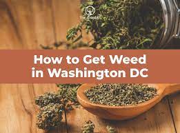 Way To Buy The Weed in DC - DCWEEDEVENTS
