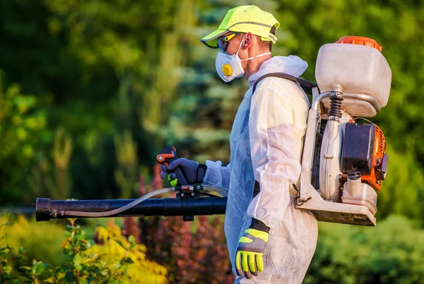 Important Considerations Before Hiring Pest Control Service in Riverside CA