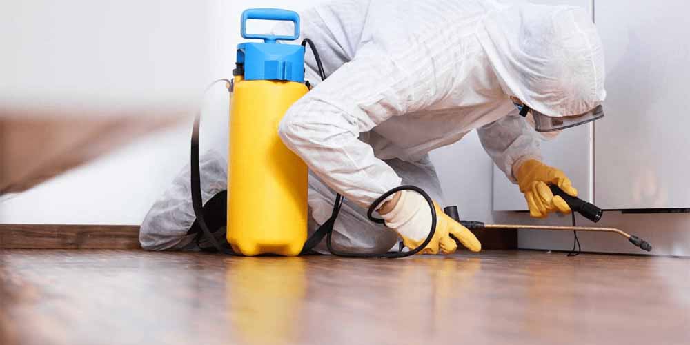 Benefits of hiring professional Complete Pest Control Services in New York