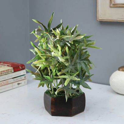 indoor plant pots online