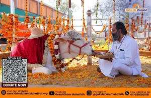 gau mata