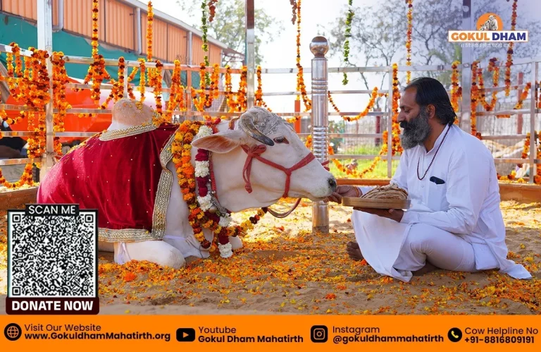 gau mata
